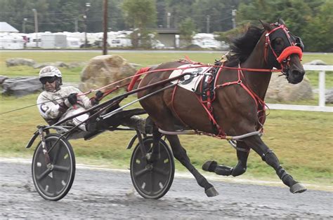 harness racing results|Entries & Results .